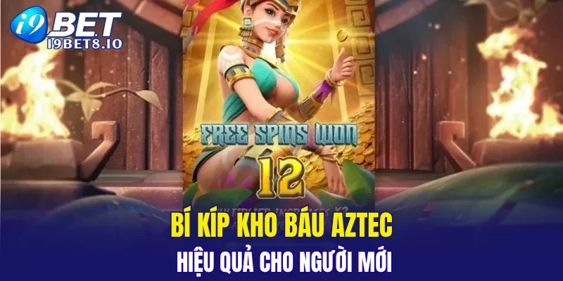 Bí kíp kho báu Aztec hiệu quả cho người mới