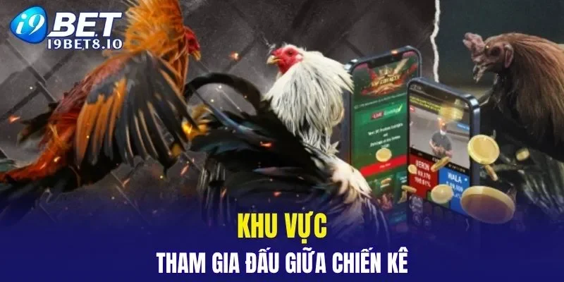 Khu vực thi đấu của trường thomo