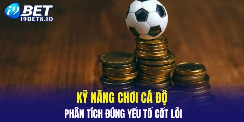 Kỹ Năng Chơi Cá Độ