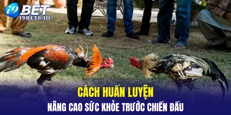 Kỹ thuật huấn luyện quan trọng