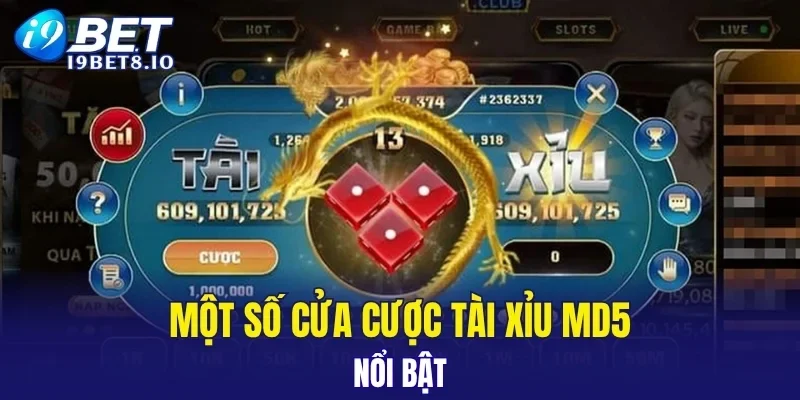 Một số cửa cược tài xỉu MD5 nổi bật