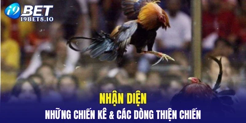 Nhận diện những giống loài đáng gờm