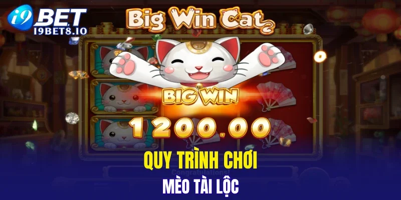 Quy trình chơi Mèo Tài Lộc