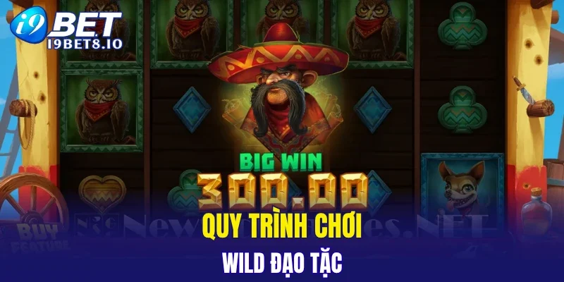 Quy trình chơi Wild đạo tặc