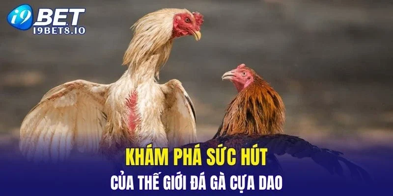 Tìm hiểu sức hút tiềm ẩn bên trong tựa game