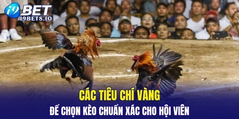 Top các tiêu chí vàng để tham gia kèo cược